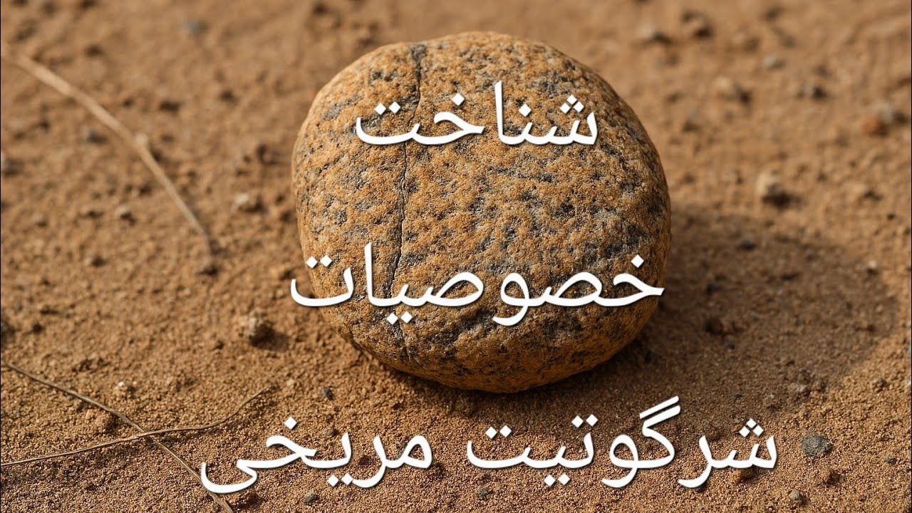 خصوصیات شهاب‌سنگهای ماه و مریخ , Meteorite شهاب‌سنگ، نیزک