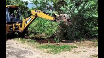 JCB 3DX Super Removing Trees...!!!