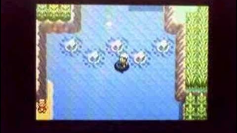 Feebas- Located at tha bottom lake of rt. 119