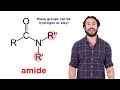 Amides: Structure, Stability, and Properties