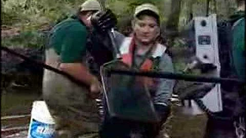 Snakeheads in Virginia