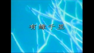 孫耀威 & 酒井法子 - 有緣千里