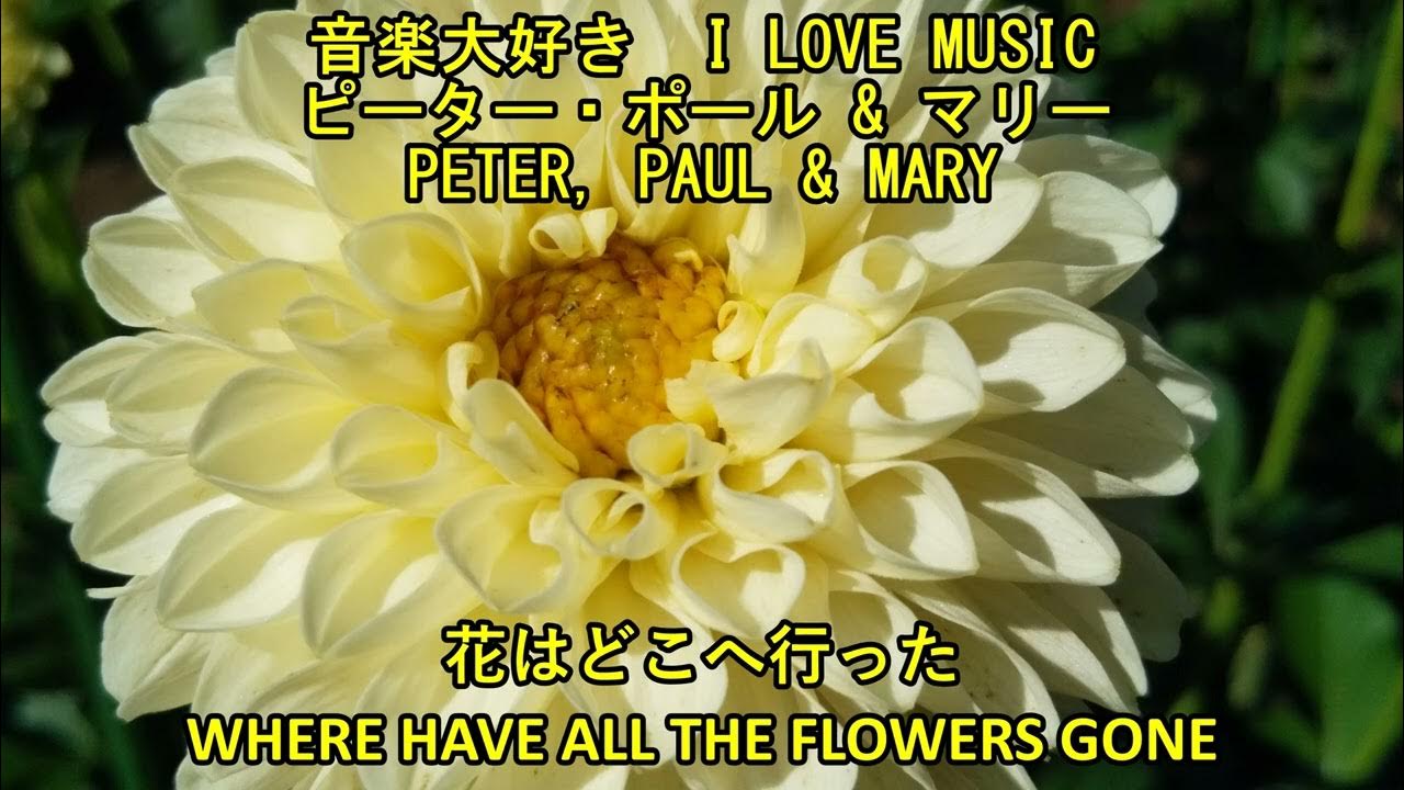 音楽大好き ピーター・ポール & マリー / 花はどこに行った I LOVE MUSIC PETER,PAUL&MARY / WHERE