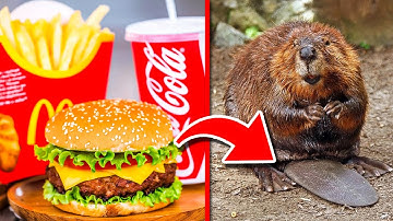 15 Fast Food Facts You DON