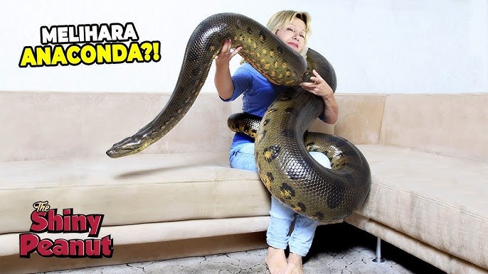 Musiqa zerikarli Karina dan Blowjob