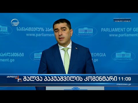 შალვა პაპუაშვილის კომენტარი