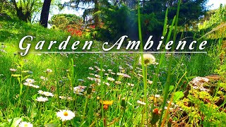 🌿🌞Begin Your Day With Positive Energy 🌞 8H Fresh Morning Sounds To Boost Your Mood🍃🌿Garden Ambience
