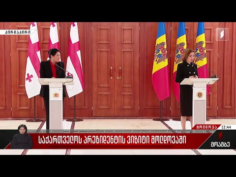 საქართველოსა და მოლდოვის პრეზიდენტების შეხვედრა - ერთობლივი განცხადებები