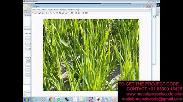 Nitrogen and Chlorophyll detection using Image Processing