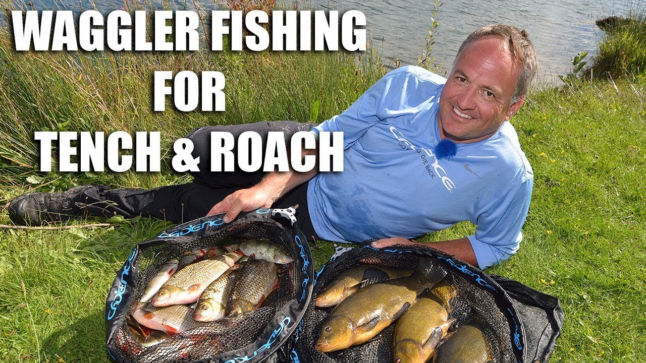 Waggler Fishing for Tench and Roach