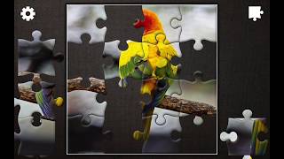 PLAYING JIGSAW PUZZLE EPIC GAME 144 screenshot 5