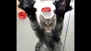 The Fall - Hands up Billy