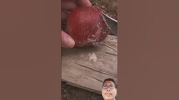 Start a fire with an apple and broken empty lighter #bushcraft #survival #fire #camping