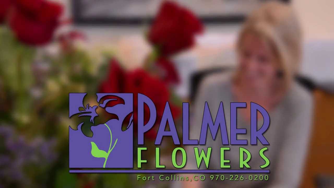 Palmer Flowers in Fort Collins Colorado YouTube