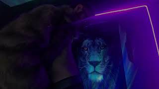 Vikings Hot Scenes Short Film