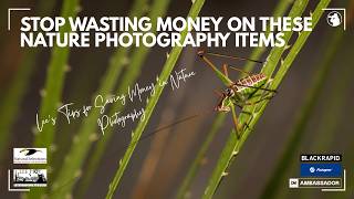 Stop Wasting Money On These Nature Photography Items