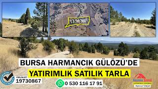 Bursa Harmancık Gülözü’de Yatırımlık Satılık Tarla
