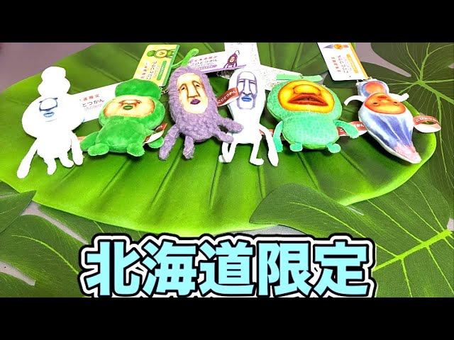 こびとづかん【北海道限定ミニマスコット】 - YouTube