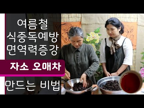 오매 여름철 식중독예방, 면역력증강, 항균, 피부미용에 좋은 자소오매차, 건강매실차 만드는법, 오매 만들기, 슬로시티 약초밥상 최금옥, 홍매, 동의보감 오매