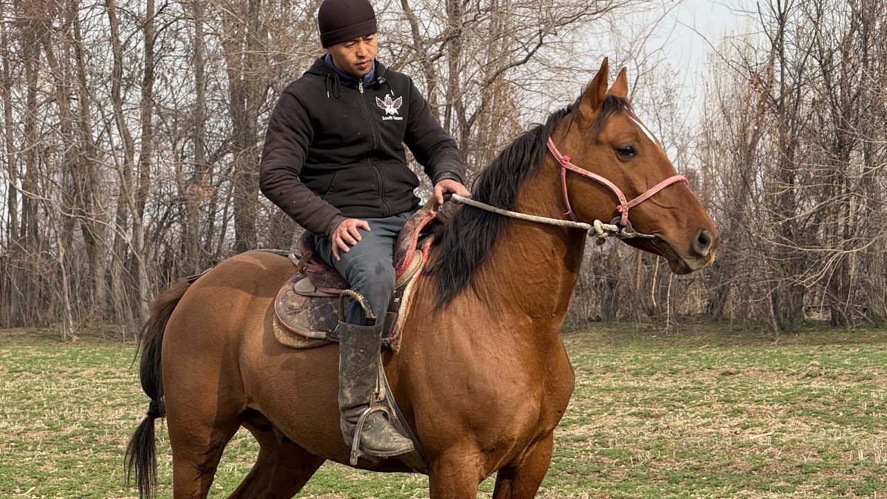 СЫНДУУ ДОНЧАК ЧЫКТЫ 🤯#байтв 