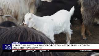 ΤΡΑΓΩΔΙΑ ΣΤΗ ΛΕΣΒΟ, ΠΕΘΑΝΕ ΚΤΗΝΟΤΡΟΦΟΣ ΜΕΤΑ ΤΗ ΘΑΝΑΤΩΣΗ ΤΟΥ ΚΟΠΑΔΙΟΥ ΤΟΥ