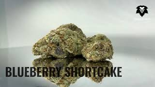 Chronic Haze - Blueberry Shortcake