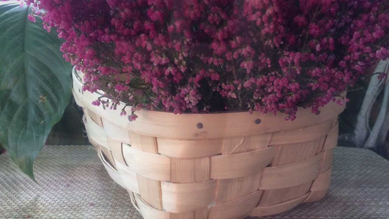 Cestashomecestacastaño