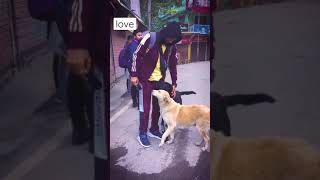 Chasni createwithcare shorts