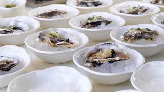 Italian Culinary program_teaser