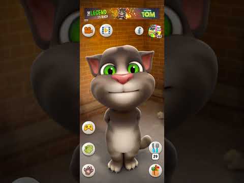 خیلی صرفه جو هستم گربه طنز فان جوک حمام خنده