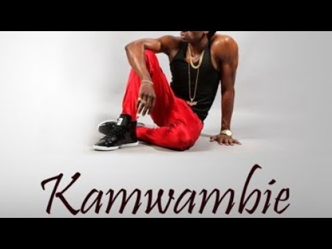 Diamond Platnumz   Kamwambie Lyrics