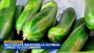 Cucumbers recalled after salmonella break sickens more than 20 people