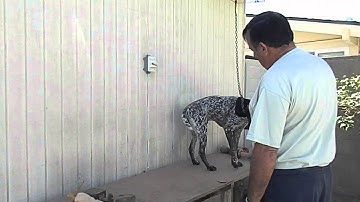 Force Fetch: End of 3rd Stage