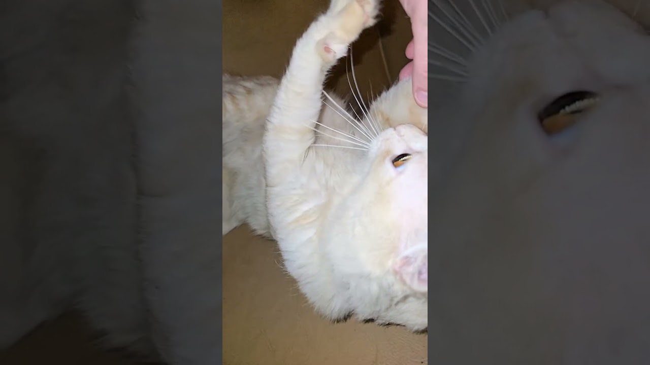 15 👌 February 2026