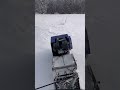 На мотособаке исследую следы косули #игорькубов #животные #мотособака
