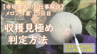 12th session] Melon work 