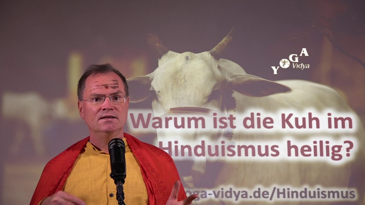 Warum Ist Die Kuh Im Hinduismus Heilig Youtube