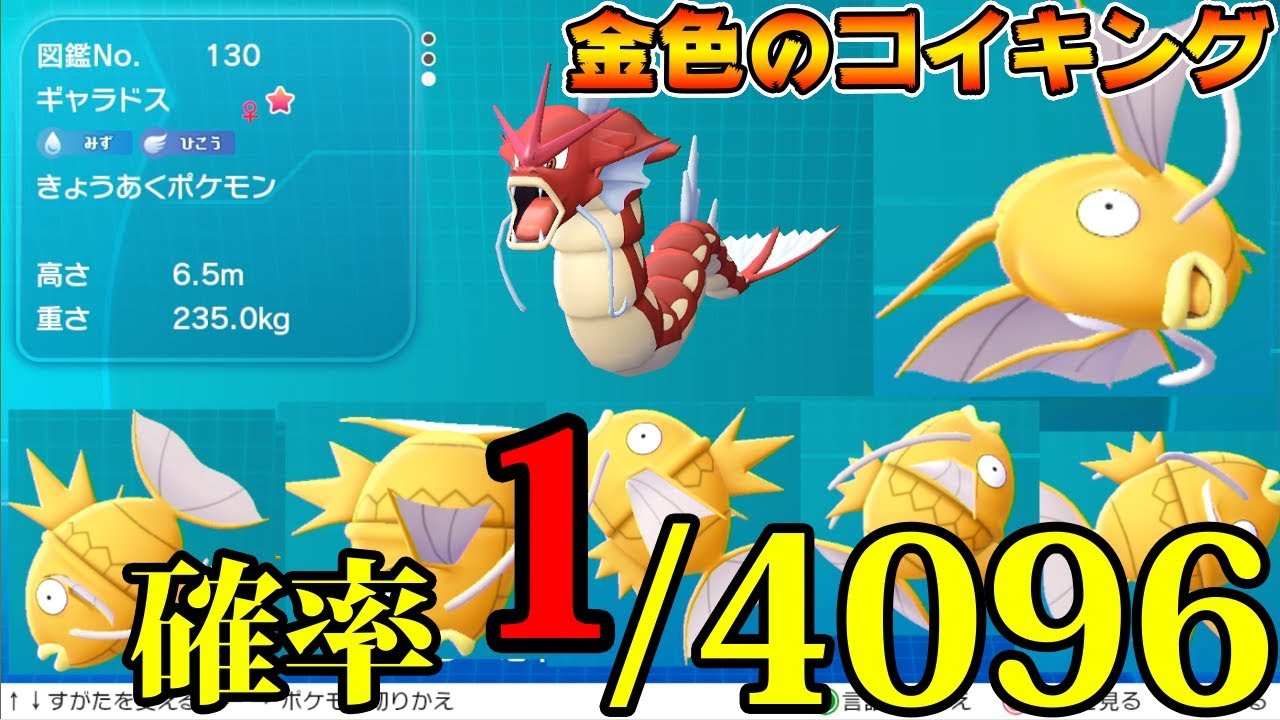 ポケモン 剣 盾 金 の コイキング プロジェクト ニュース