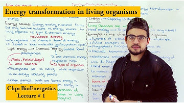 Bioenergetics | A Brief Introduction |