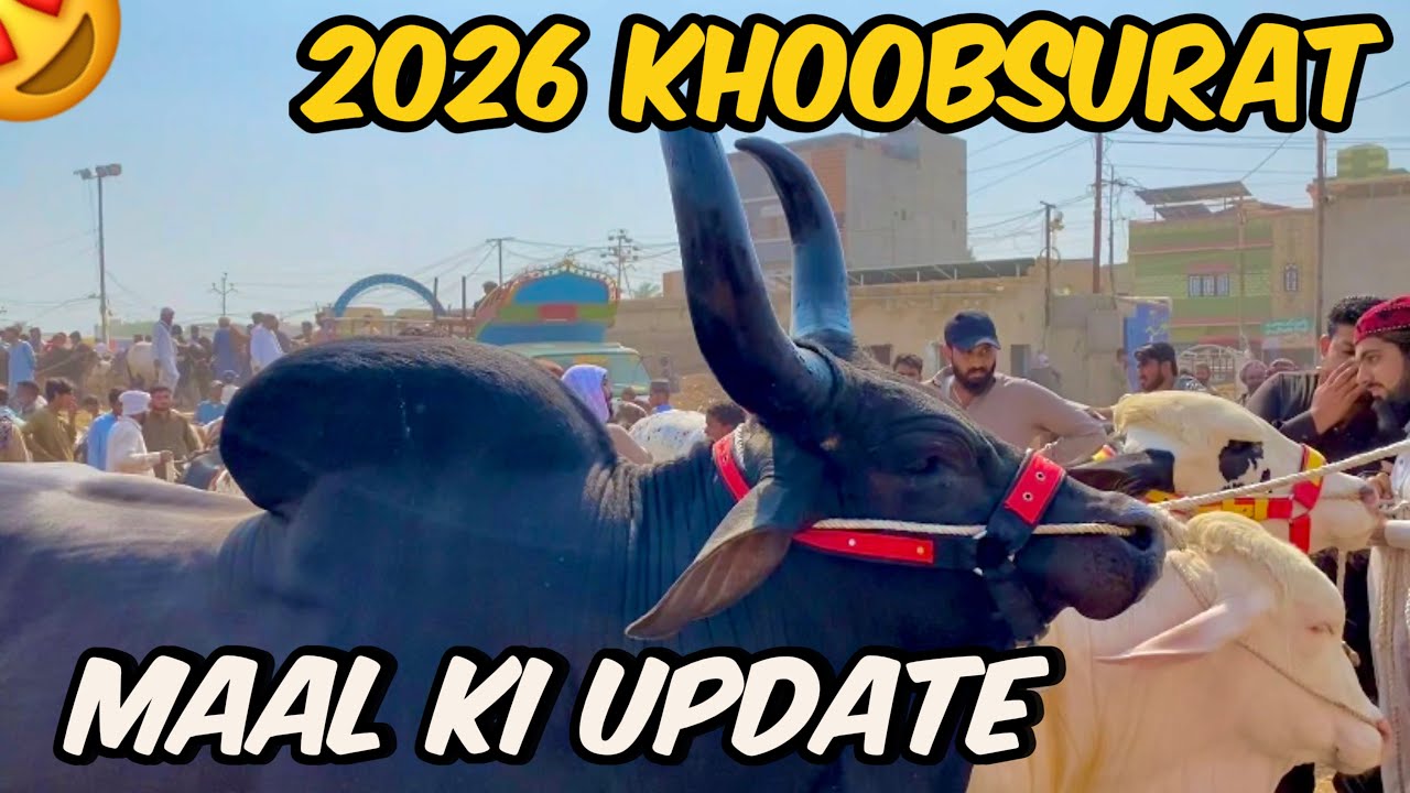 Malir Mandi Karachi Latest Rates Update | 29 October 2025 | 