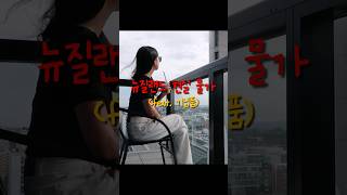 뉴질랜드 가장 저렴한 대형마트 물가
