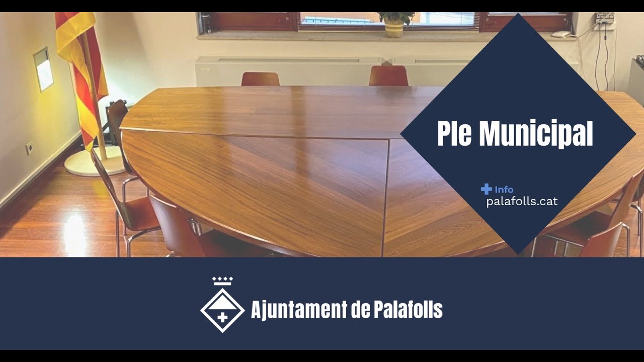 Ple Ordinari 19-02-2026