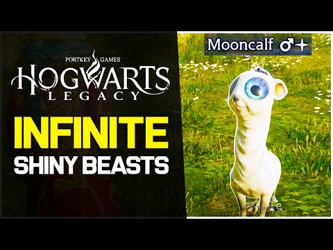 Hogwarts Legacy Tips - How to Get INFINITE Shiny Beasts