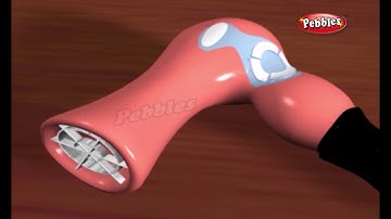 How Devices Work 3D Animation Vol 2 | How Stuff Works | How Gadgets Work For Children | Gadget Guru