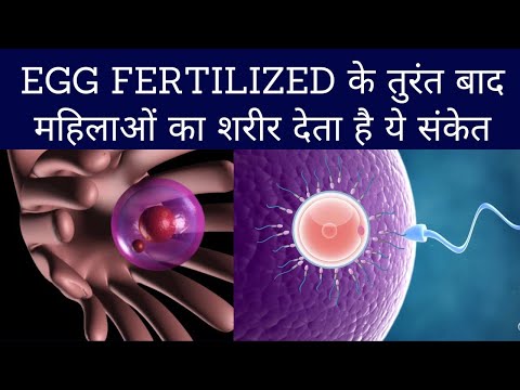 Sperm and egg meet symptoms | Egg fertilized symptoms| successful fertilization symptoms in hindi