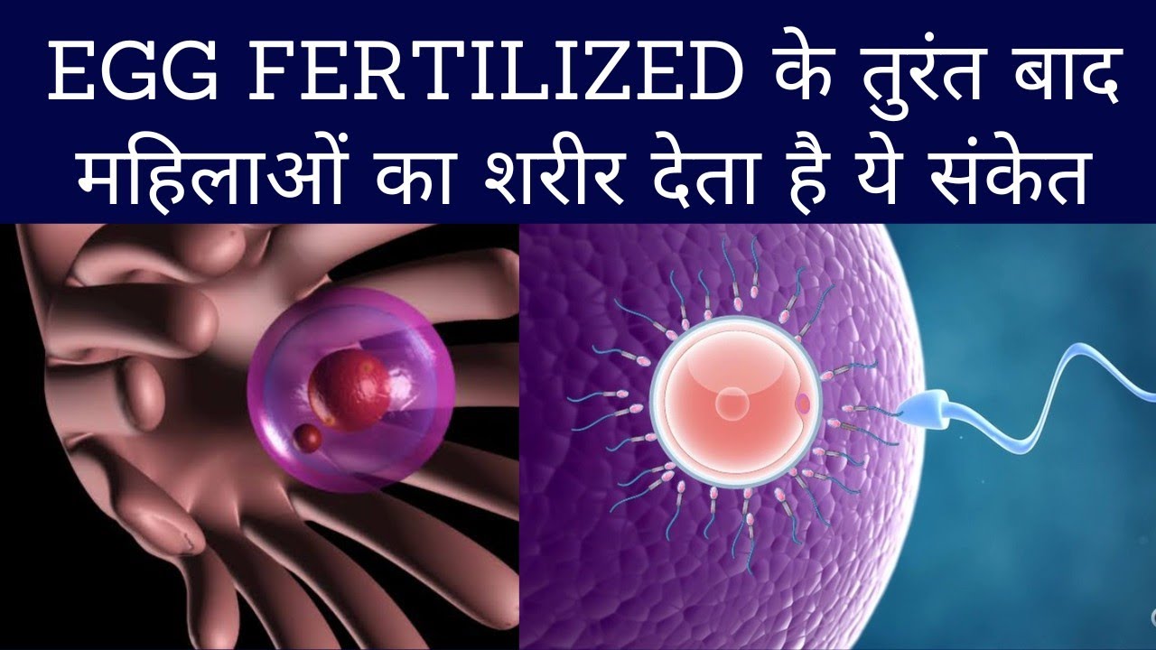 What Are The Symptoms Of Successful Fertilization After Ovulation
