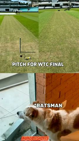 PITCH For WTC FINAL 💀💀 #shorts #cricket #wtcfinal