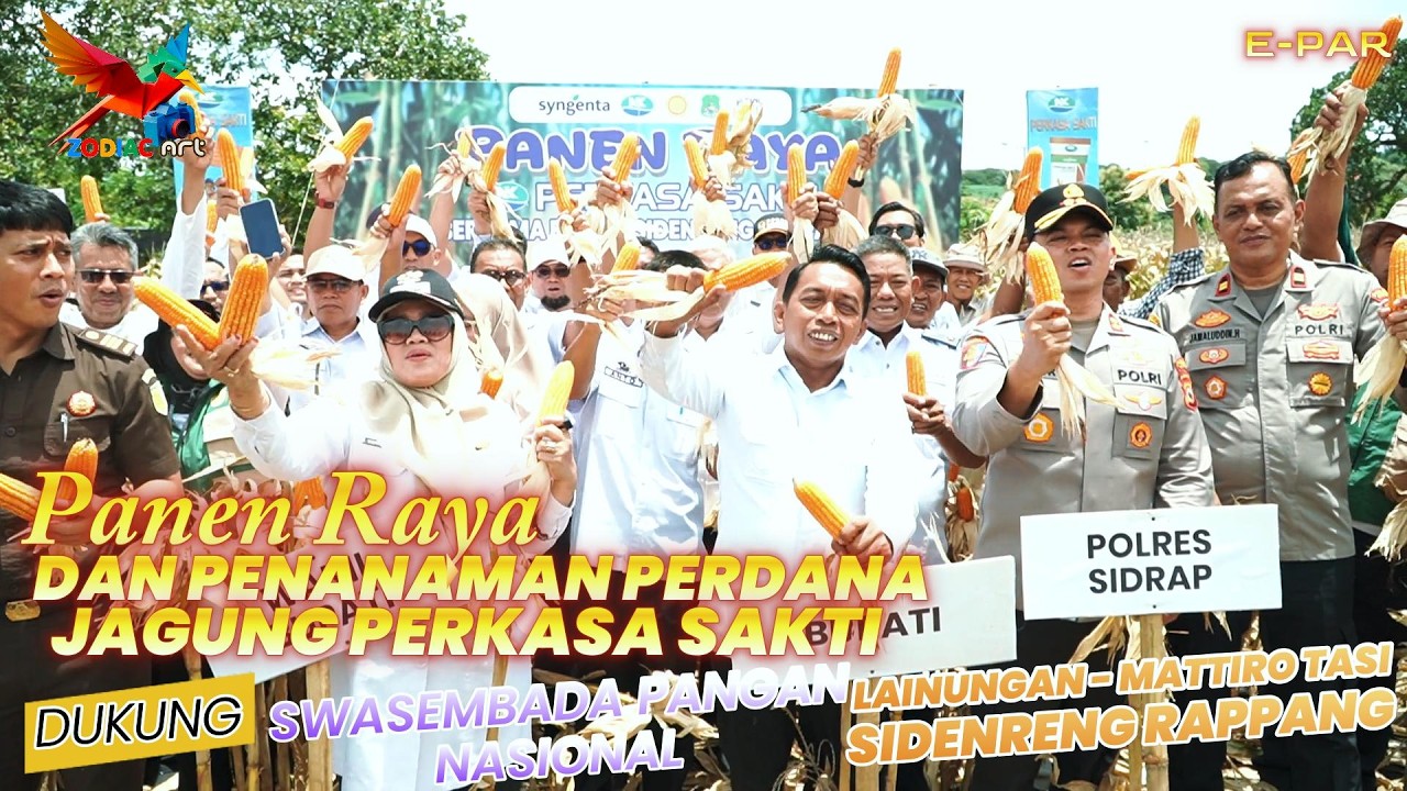 Bupati Sidrap Panen Raya dan Tanam Jagung Perkasa Sakti di Desa lainungan - Mattiro Tasi