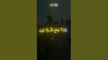 القرآن الكريم راحة نفسية سورة الشعراء#القرآن_الكريم#راحة_نفسية ❤️‍🩹❤️‍🩹