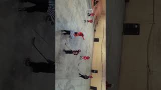 Freedom Gliders Inline Hockey Club vs Shadow Panthers Inline Hockey Club  score:Freedom 7-4 phanters